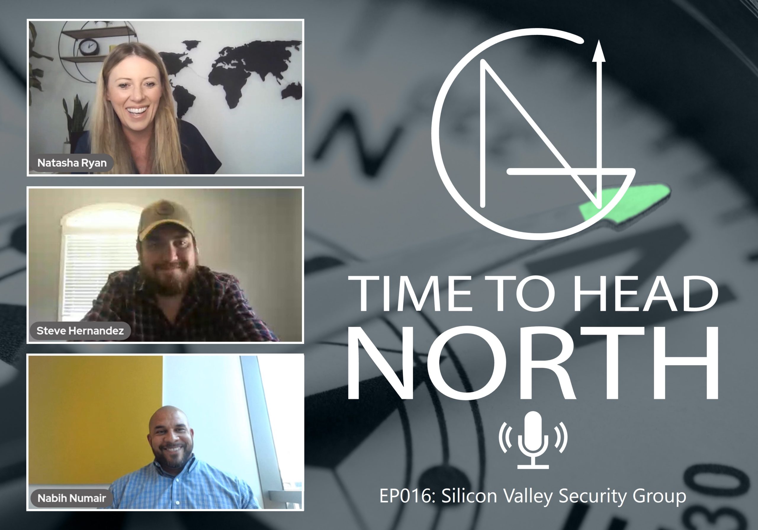 Silicone Valley Security Group